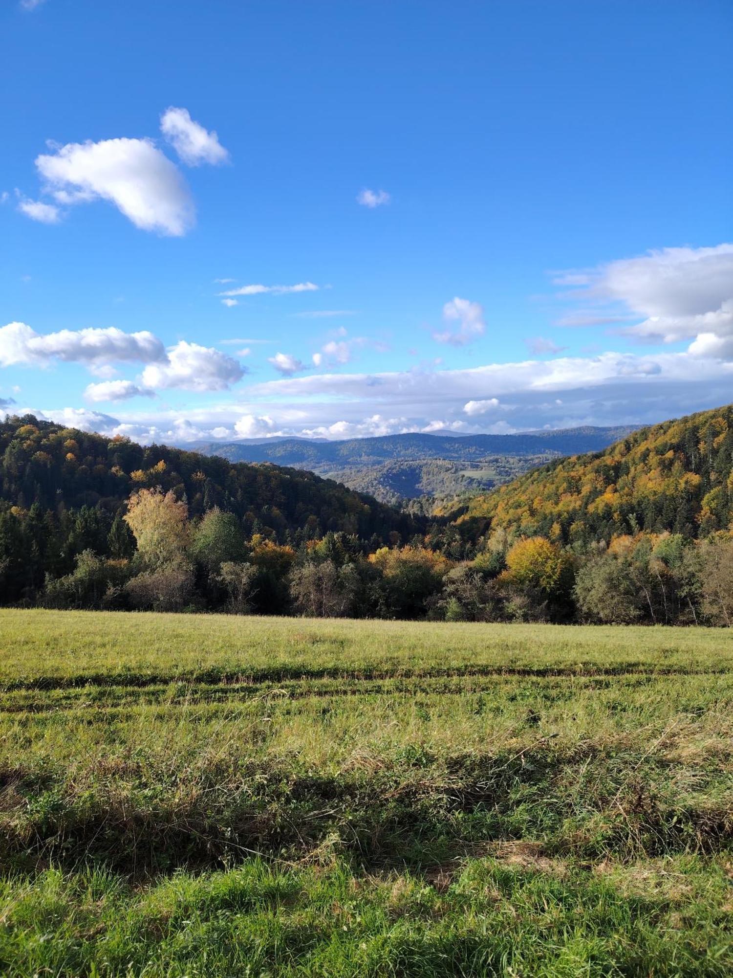 Lisi Zakatek Czarna (Bieszczady) Exterior foto