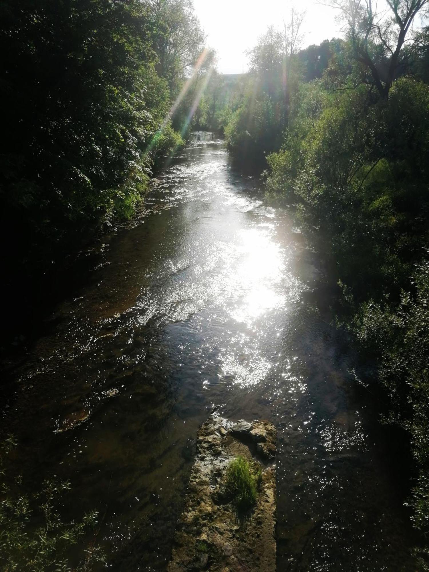 Lisi Zakatek Czarna (Bieszczady) Exterior foto
